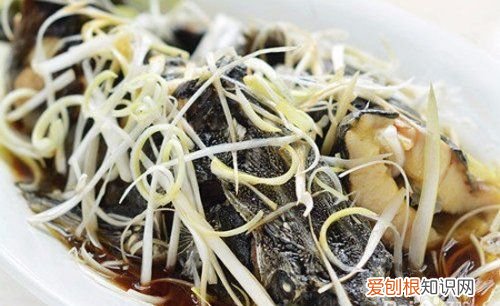 清炖鲟鱼家常做法，鲟鱼清炖怎么做好吃窍门