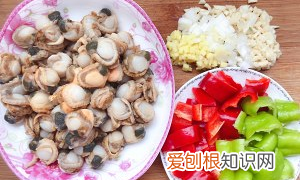 大贝壳肉简单做法，冷冻扇贝肉怎么做好吃