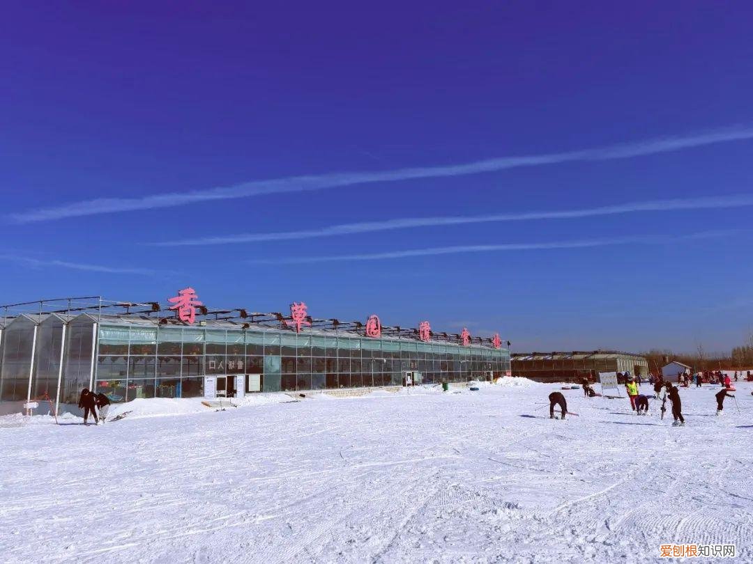 济南滑雪场哪个好玩