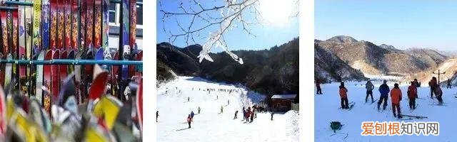 济南滑雪场哪个好玩