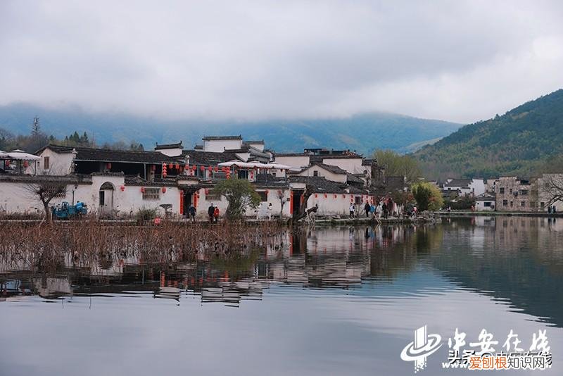美如画香颂庄园红葡萄酒价格