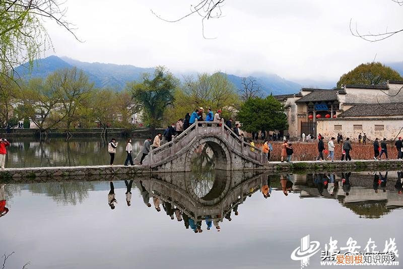 美如画香颂庄园红葡萄酒价格