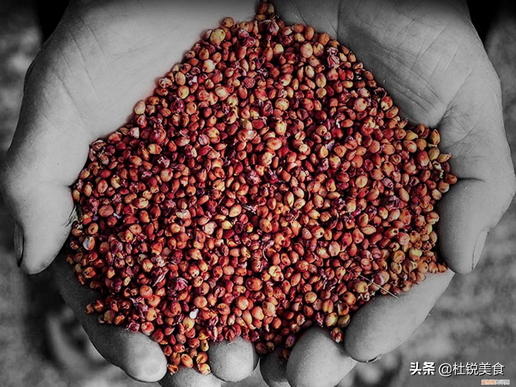 金门高粱酒怎么样