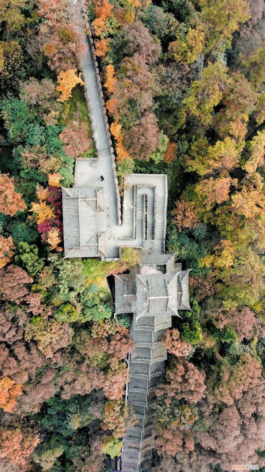 都江堰放水节