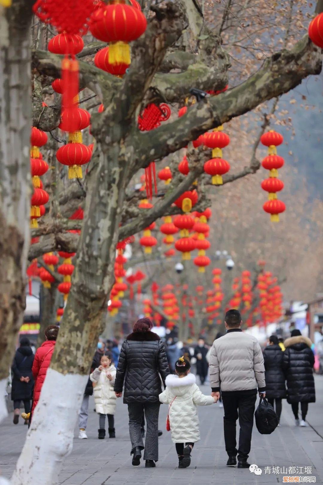 都江堰放水节