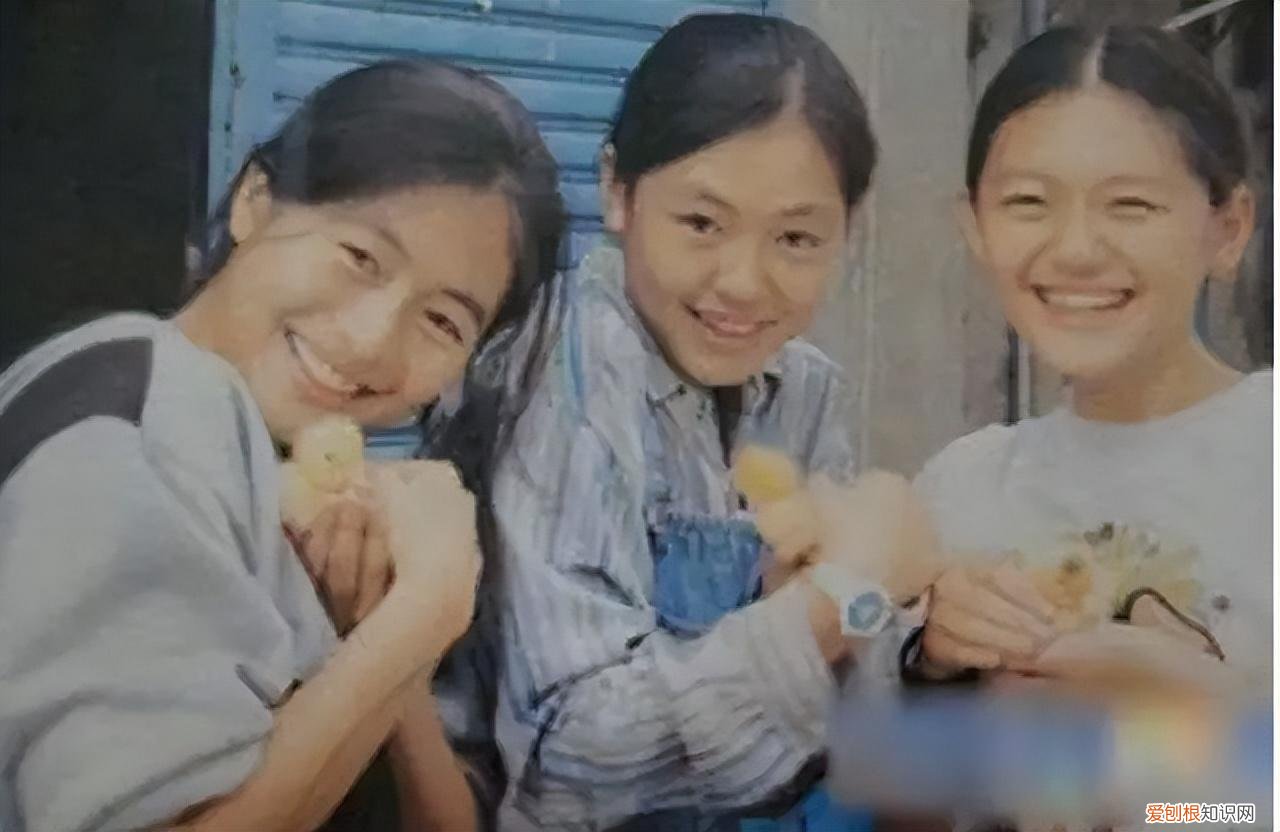 徐家三姐妹是什么电视剧