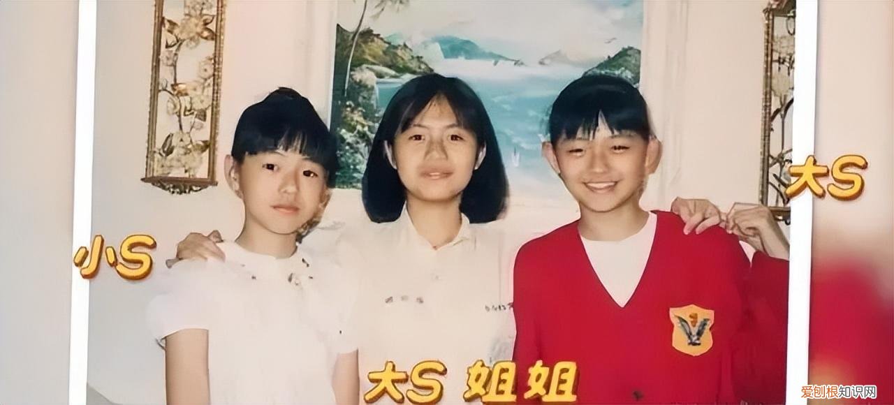 徐家三姐妹是什么电视剧