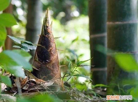让人欲罢不能的照片动漫