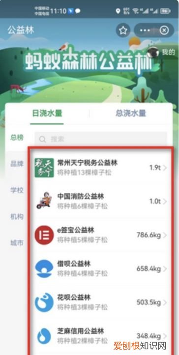 小天才上面的支付宝,支付宝的蚂蚁森林在哪里