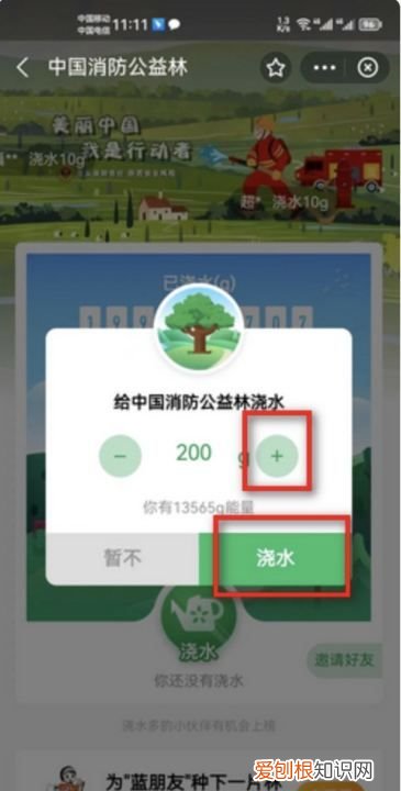 小天才上面的支付宝，支付宝的蚂蚁森林在哪里