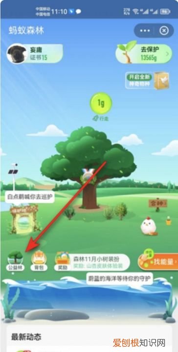 小天才上面的支付宝,支付宝的蚂蚁森林在哪里