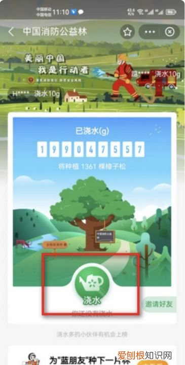 小天才上面的支付宝,支付宝的蚂蚁森林在哪里