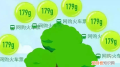 小天才上面的支付宝，支付宝的蚂蚁森林在哪里