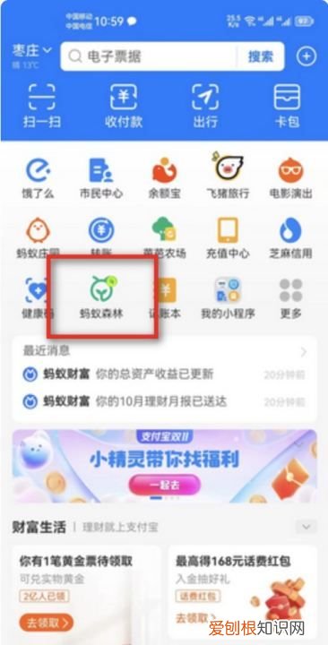 小天才上面的支付宝,支付宝的蚂蚁森林在哪里