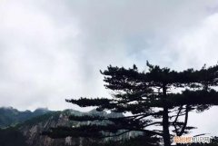 山景朋友圈说说怎么写，过山农家这首诗写出了山村环境怎样的特点