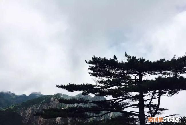 山景朋友圈说说怎么写，过山农家这首诗写出了山村环境怎样的特点
