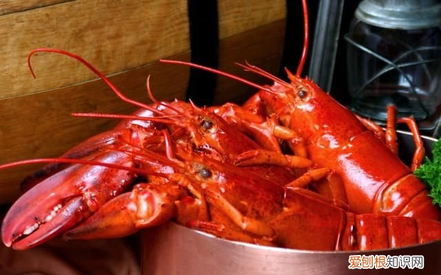 龙虾死掉了多久不能吃,可以生吃的龙虾肉有哪些