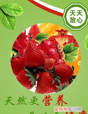 水果宣传语,卖新鲜杏子的宣传语段
