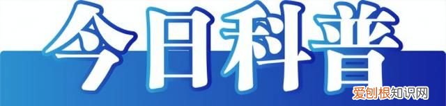 2023年5月12日 今日辟谣