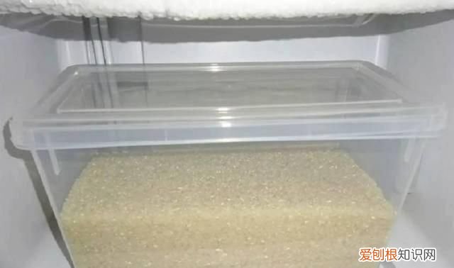 夏天大米长米虫了可以吃吗