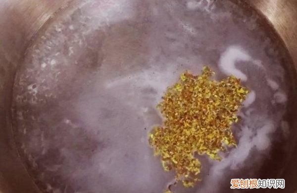蛋挞液还能怎么用,蛋挞液还可以做什么吃