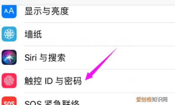 苹果手机密码怎么设置，苹果手机怎么设置密码锁屏