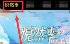 如何给《乘风破浪的姐姐》投票