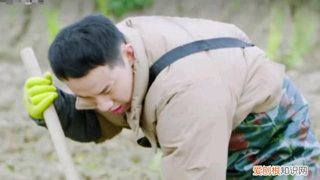 李诞在笑果文化担任什么职务,李诞退出笑果文化意味着什么