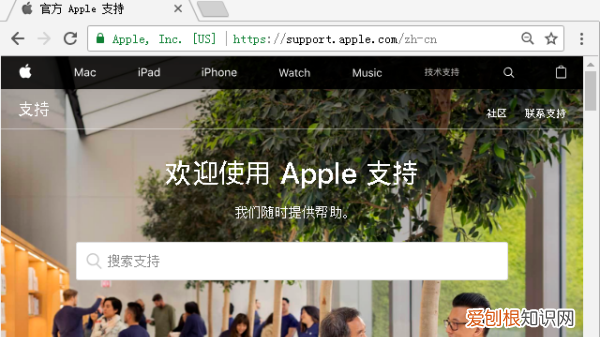 怎么样才能查看苹果手机的激活时间