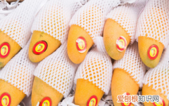 一个芒果的热量是多少 热量并不是很高呢