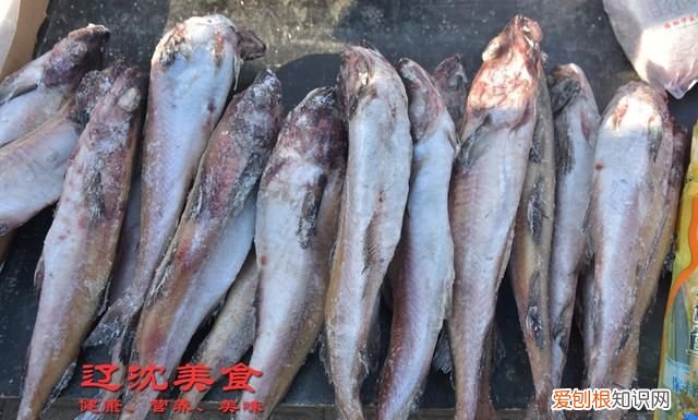 明太子是什么鱼的籽，明皇太子后代应该叫什么