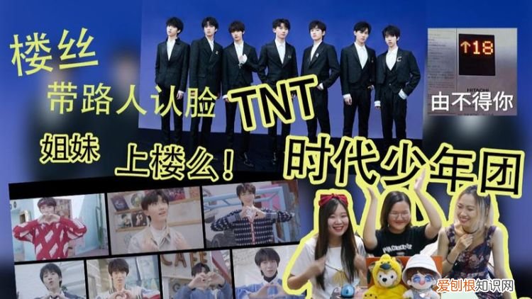 为什么tnt粉丝叫lows