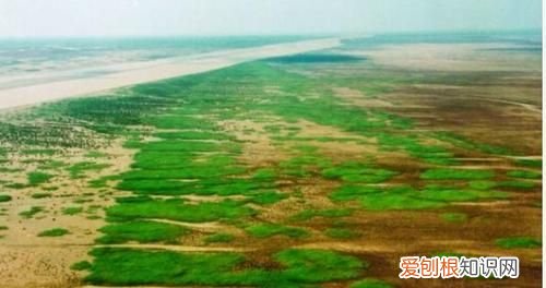 黄河的发源地和入海口,黄河流到什么地方入海