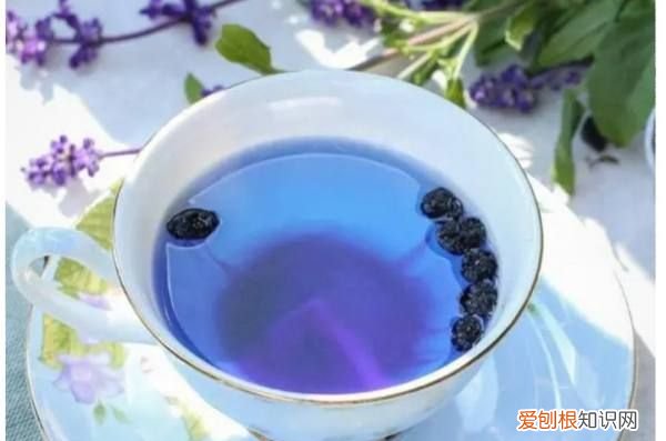 黑枸杞能用热水冲泡,黑枸杞用开水泡有害吗