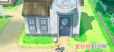 宝可梦朱红色宝珠，宝可梦银色王冠怎么用