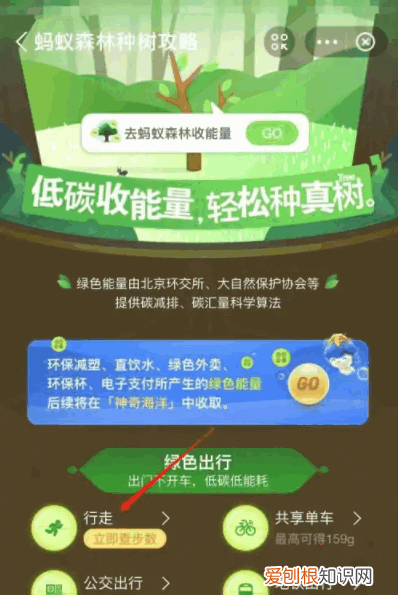 支付宝运动在哪里打开怎么使用,支付宝里的运动步数开关在哪里