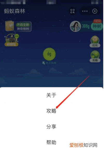 支付宝运动在哪里打开怎么使用,支付宝里的运动步数开关在哪里