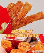 辣辣是谁，民调局异闻录沈辣到底是谁