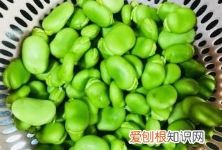 蚕豆要煮多久才熟