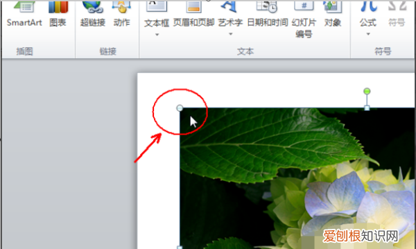 如何用PPT为证件照换背景，苹果手机怎么更换证件照底色