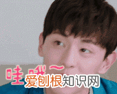 邓伦的老家在河北哪里