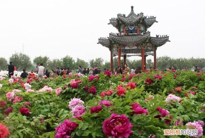 山东菏泽旅游景点有哪些,山东省菏泽市有哪些著名景点20个