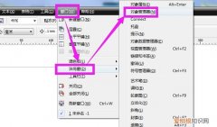 cdr水平翻转该怎么样进行操作