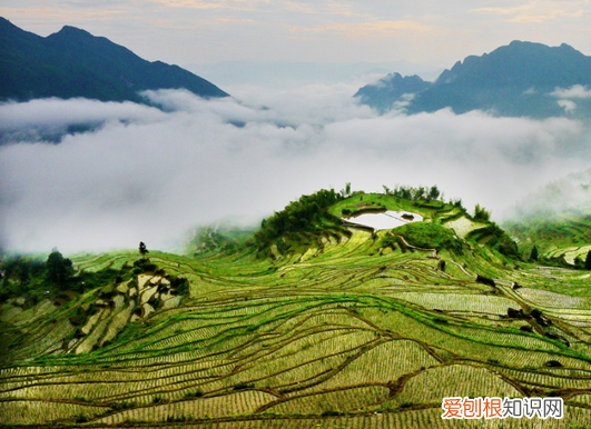 浙江梯田风景区在哪里，浙江网红梯田瀑布在哪里
