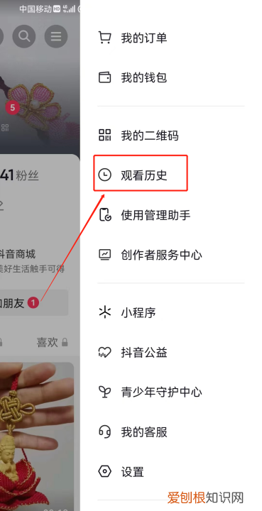 抖音如何查看访客记录，在抖音里怎么看浏览记录和访客记录