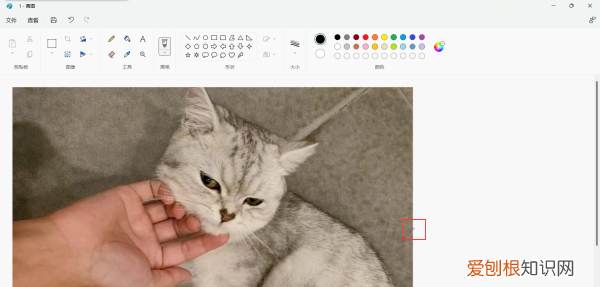 两张要咋才能合成一张，怎样才能把两张照片合成一张照片苹果手机