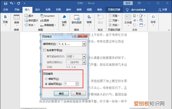 word该怎样修改页码，word设置页脚页码怎么设置