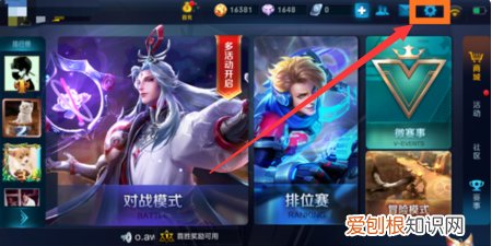 王者荣耀怎么隐藏交友名片