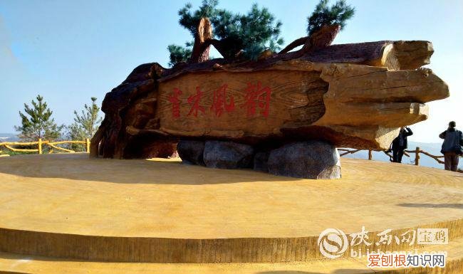 去何地电影