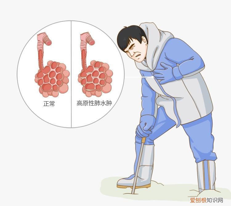 可可西里旅游